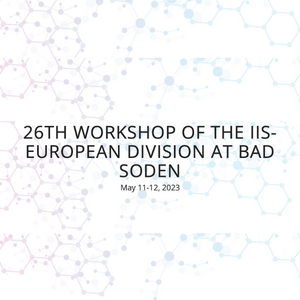 26th Workshop of the IIS-European Division